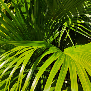 chinese老汉嫖妓2023
